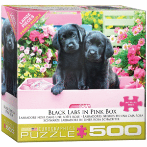 Black Labs in Pink Box: rompecabezas 500 piezas