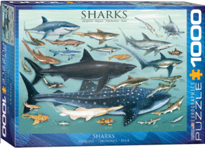 Sharks: rompecabezas 1000 piezas