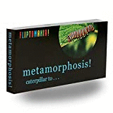 Caterpillar to... Butterfly Metamorphosis! Flipbook