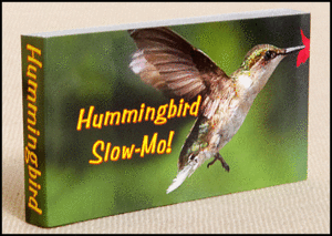 Hummingbird Slow-Mo: Flipbook