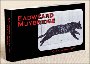 Muybridge Cat: Flipbook