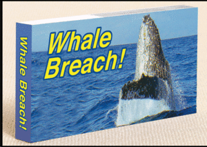 Whale Breach!: Flipbook