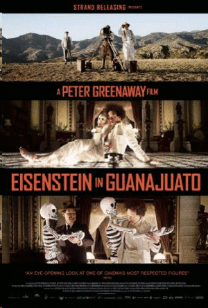 Eisenstein in Guanajuato (DVD)
