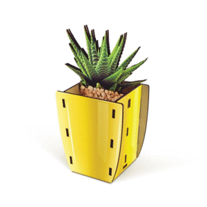 Pop Plants Aloe: portalápices