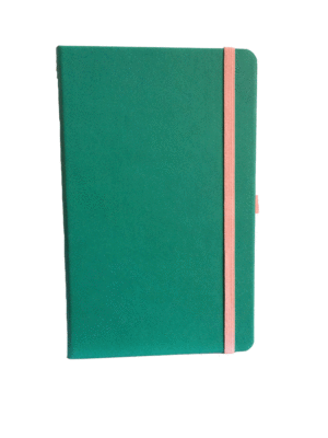 Verde Especial: libreta rayada 13x21 cm.