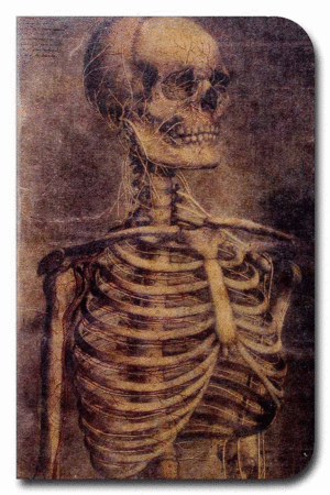 Chile cabrón, línea clásica, esqueleto fondo negro: libreta 9x14 cm.