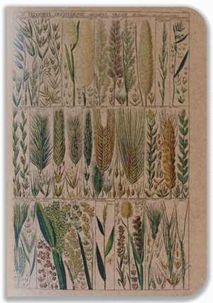 Chile Cabrón, línea clásica grande, trigo: libreta cosida 14.5x21 cm