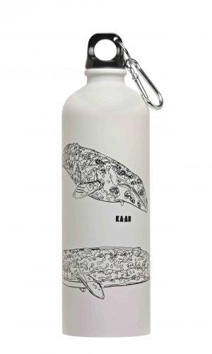 Ballena: botella de acero inoxidable 750 ml. 