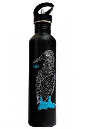 Pájaro Bobo: botella de acero inoxidable 1 Lt.
