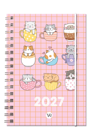Chicas, tazas: agenda 2027
