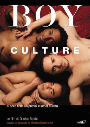 Boy Culture (DVD)