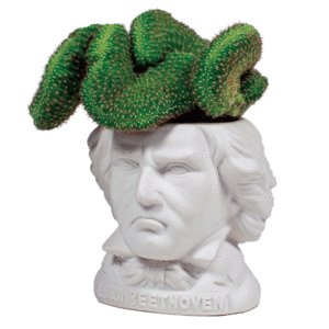 Ludwig Van Beethoven Bust Planter: maceta