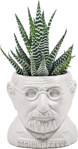 Sigmund Freud Bust Planter: maceta