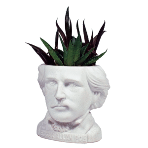 Edgar Allan Poe Bust Planter: maceta