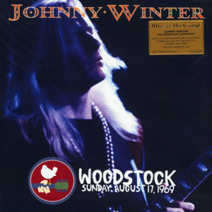 Woodstock Experience (2 LP)
