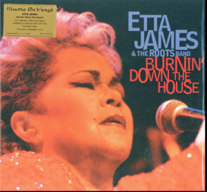Burnin' Down The House (2 LP)