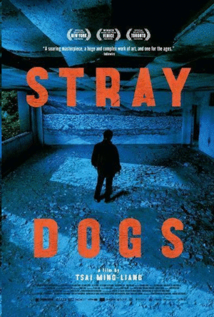 Stray Dogs (DVD)