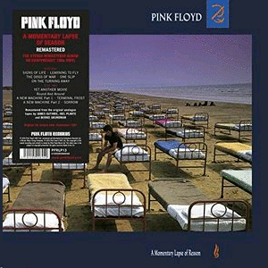 A Momentary Lapse of Reason (LP)
