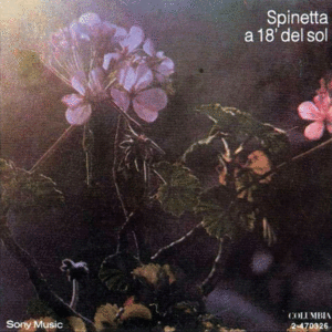 A 18' Del Sol (LP)