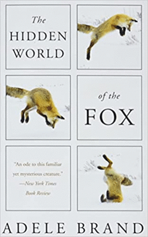 Hidden World of the Fox, The