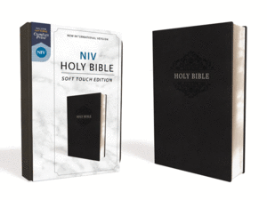 NIV, Holy Bible