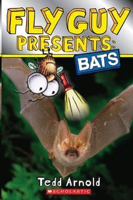 Fly guy presents: Bats