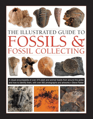 Illustrated Guide to Fossils & Fossil Collecting