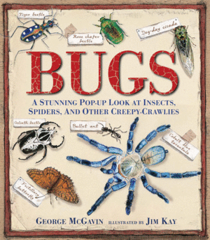 Bugs: A stunning pop up look at insects