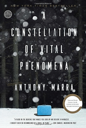 Constellation of vital phenomena, A