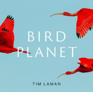 Bird Planet