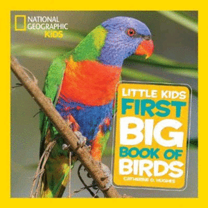 Little Kids Firs Big Book of Birds