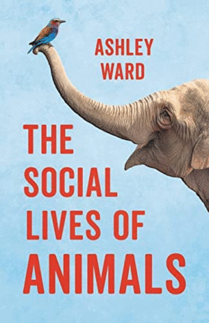 Social lives of animals, The