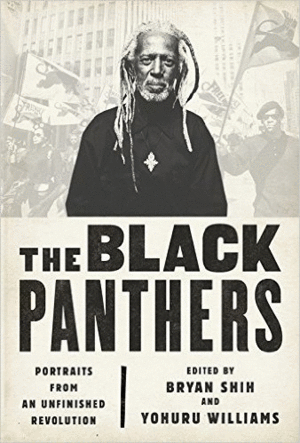 Black panthers, The
