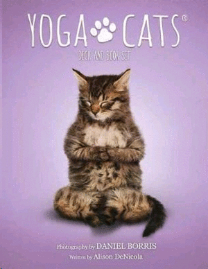 Yoga Cats: set de libro y cartas