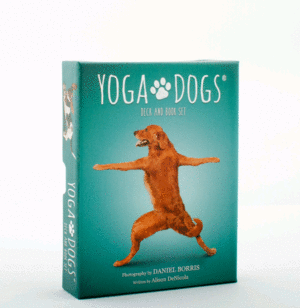 Yoga Dogs: set de libro y cartas