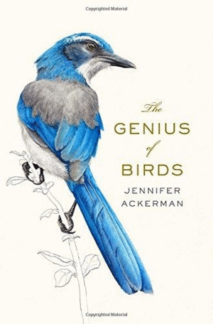 Genius of birds, The