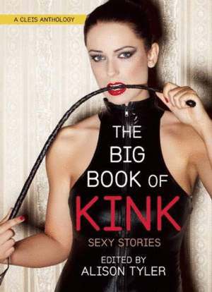 Big Book of Kink Sexy Stories, The