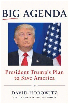 Big Agenda President Trump’s Plan to Save America