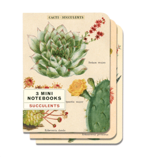 Succulents: set de 3 mini libretas