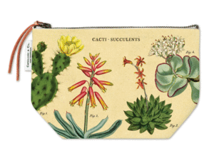 Cacti & Succulents, Pouch: bolsa de tela