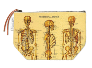 Skeleton, pouch: bolsa de tela