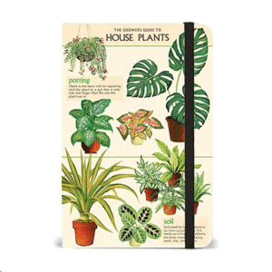 House Plants: libreta chica rayada