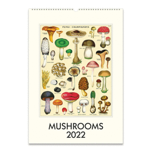 Mushrooms: calendario de pared 2022