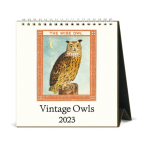 Owls: calendario de escritorio 2023