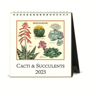 Succulents: calendario de escritorio 2023