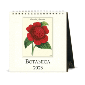 Botanica: calendario de escritorio 2023