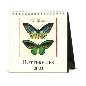 Butterflies: calendario de escritorio 2023