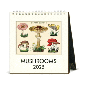 Mushrooms: calendario de escritorio 2023