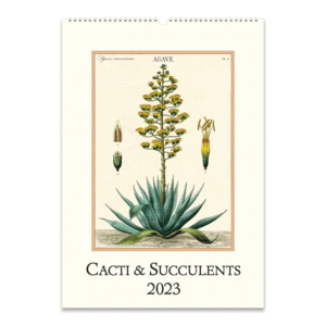 Succulents: calendario de pared 2023
