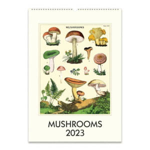 Mushrooms: calendario de pared 2023